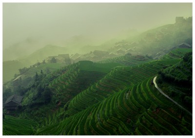 dnqolv-2cad1b4f-3eee-406a-94c0-5498d6f517af.jpg (404.76 Kio) Vu 57092 fois Settou Mura