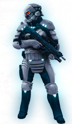 Commando IHR de la STERN