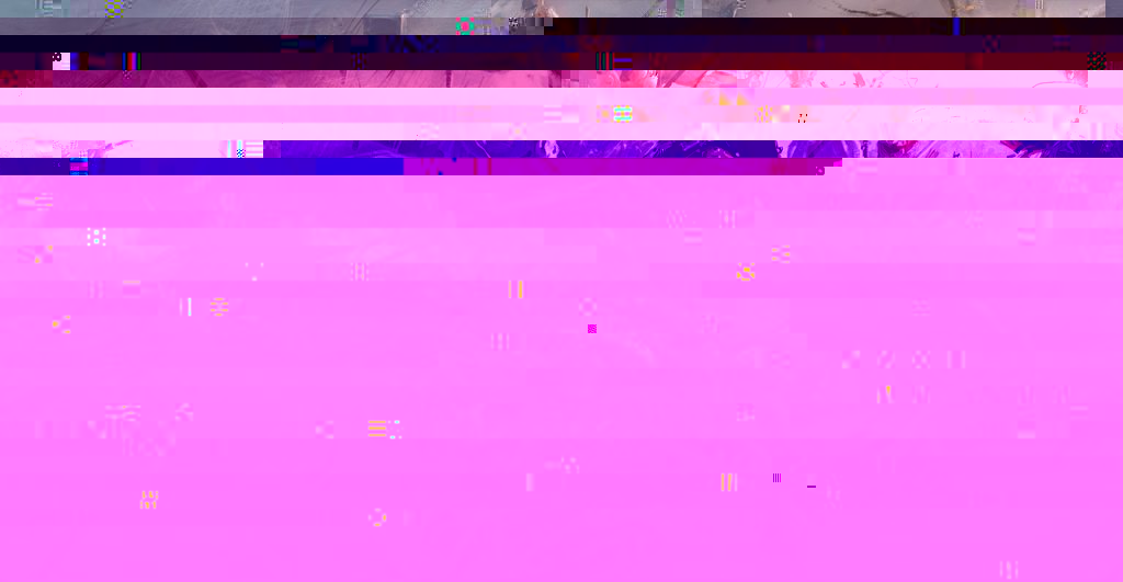 336_max.jpg